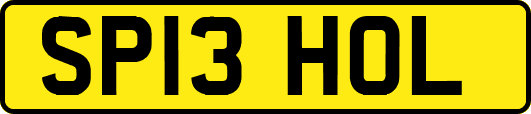 SP13HOL