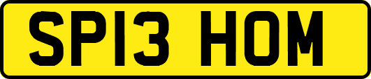 SP13HOM