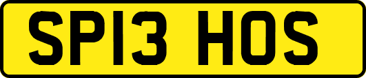 SP13HOS