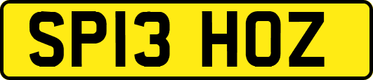 SP13HOZ
