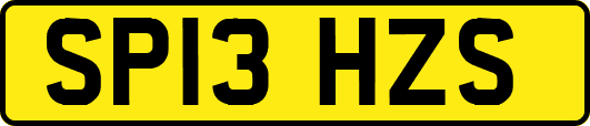 SP13HZS