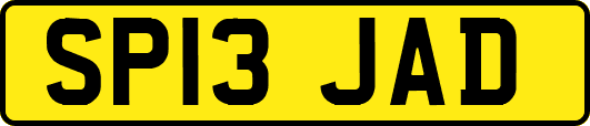 SP13JAD