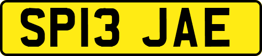 SP13JAE