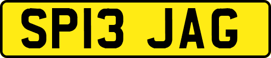 SP13JAG