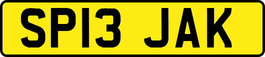 SP13JAK
