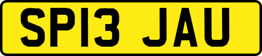 SP13JAU