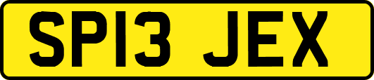 SP13JEX