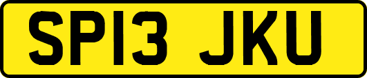 SP13JKU