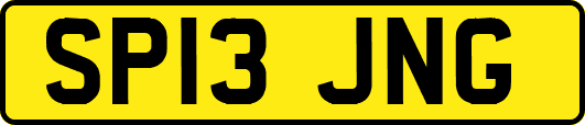 SP13JNG