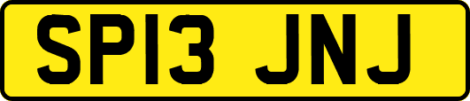 SP13JNJ