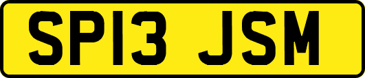 SP13JSM