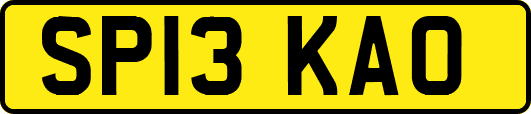 SP13KAO