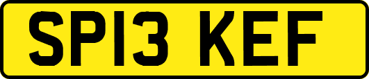 SP13KEF