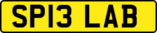 SP13LAB