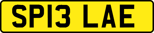 SP13LAE