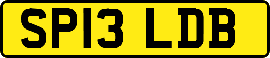 SP13LDB