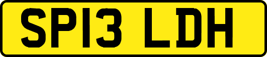 SP13LDH