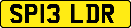 SP13LDR