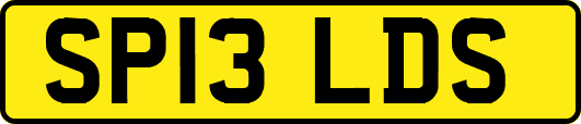 SP13LDS