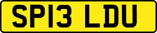 SP13LDU