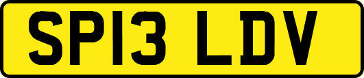 SP13LDV