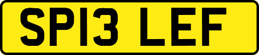SP13LEF