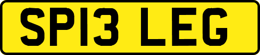 SP13LEG