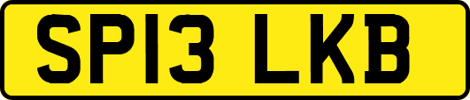 SP13LKB