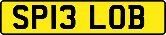 SP13LOB