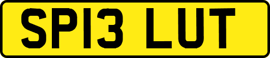 SP13LUT