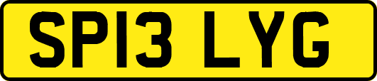 SP13LYG