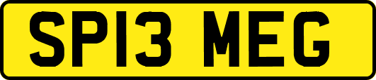 SP13MEG