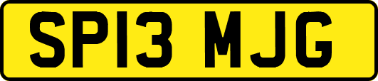 SP13MJG