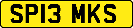 SP13MKS
