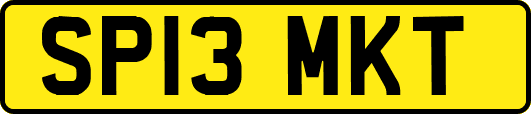 SP13MKT
