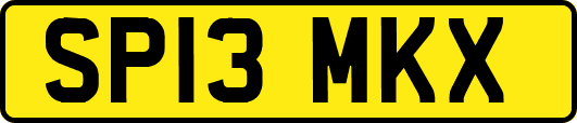 SP13MKX