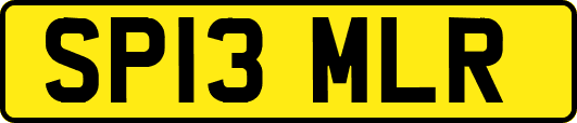 SP13MLR
