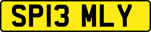 SP13MLY