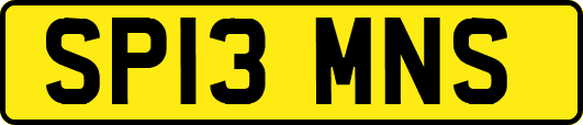 SP13MNS