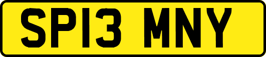 SP13MNY