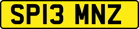 SP13MNZ