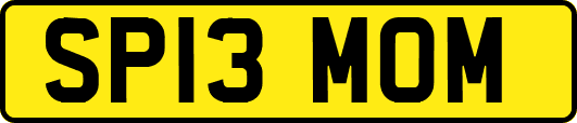 SP13MOM