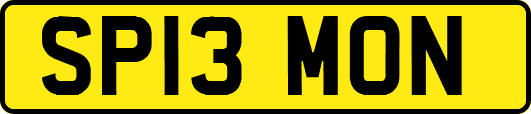 SP13MON