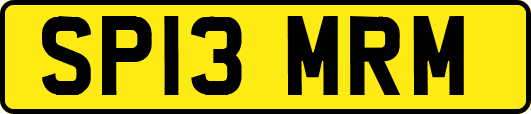 SP13MRM