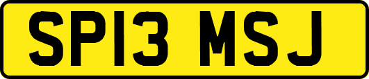 SP13MSJ