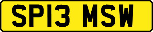 SP13MSW