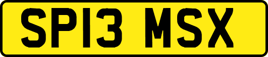 SP13MSX