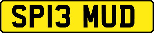 SP13MUD
