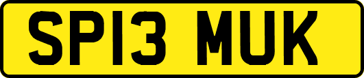 SP13MUK