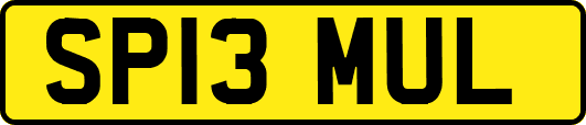SP13MUL